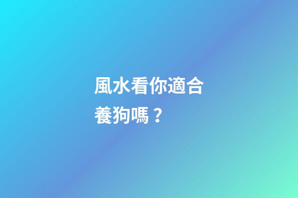 風水看你適合養狗嗎？